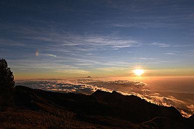 Steam十月新品节热门试玩排行公开 《三角洲行动》榜首